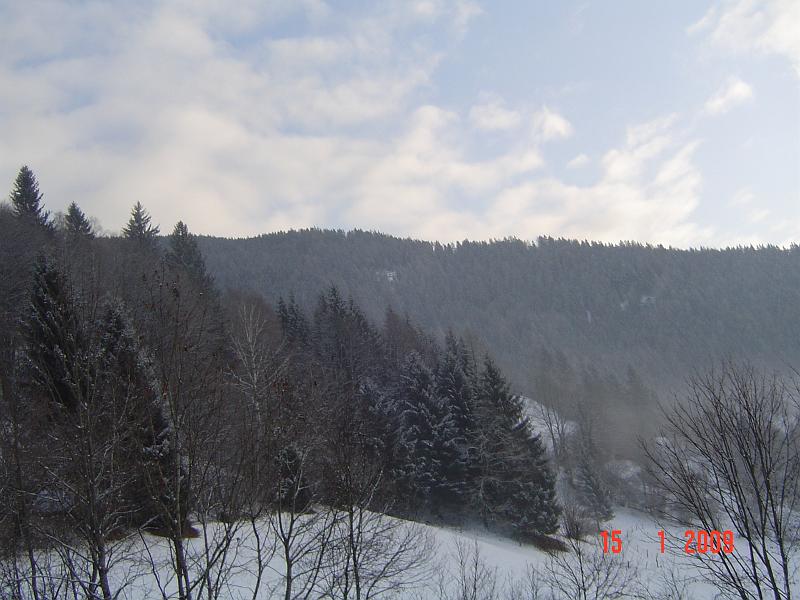 Austrian Alps (17)